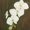 'Full Bloom II' Acrylic on Canvas, 14x14